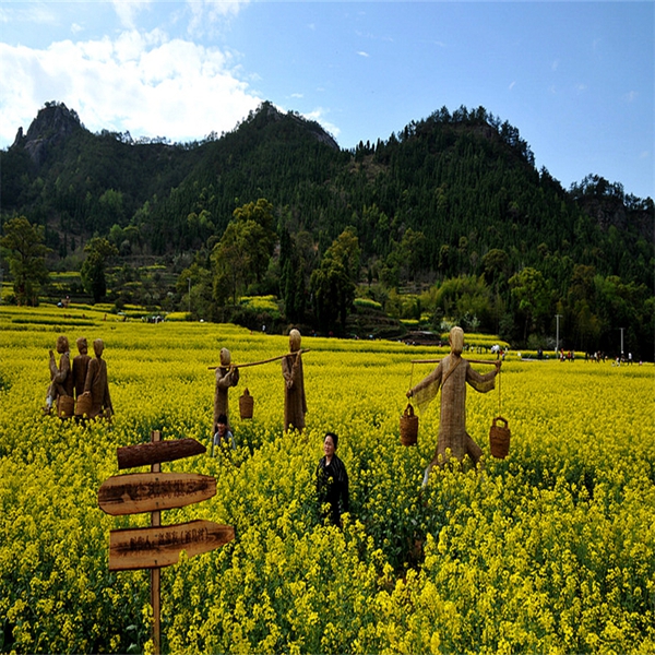 稻草案例