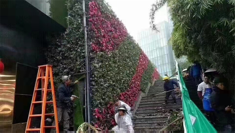 花器花球花柱