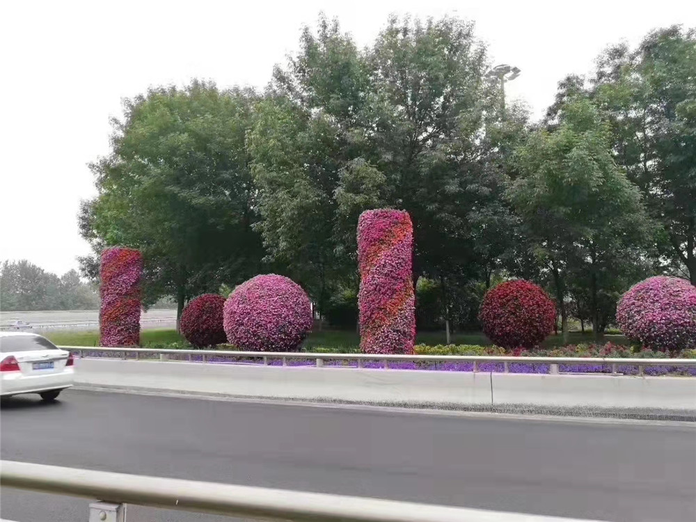 花器花球花柱